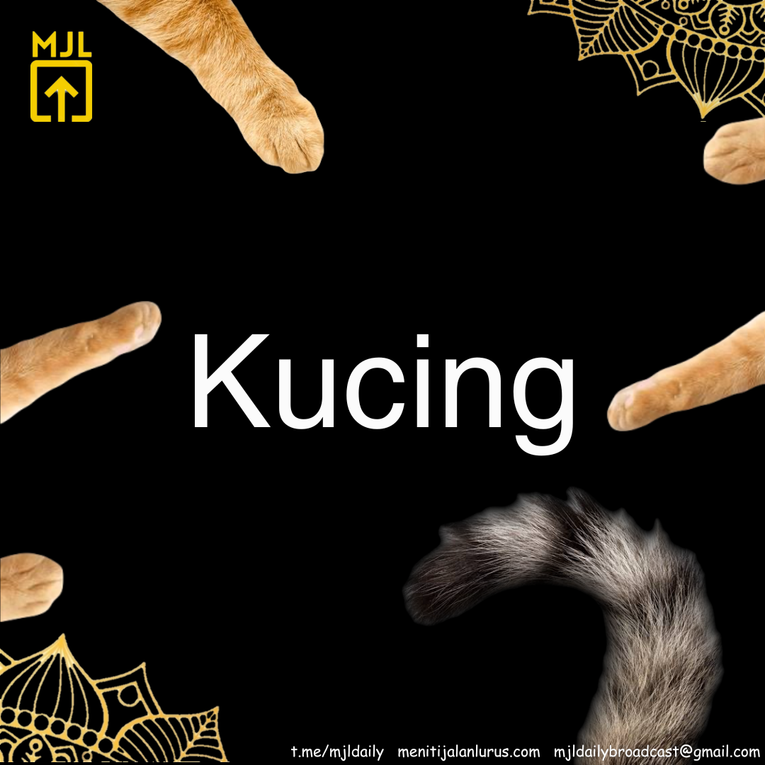 Kucing